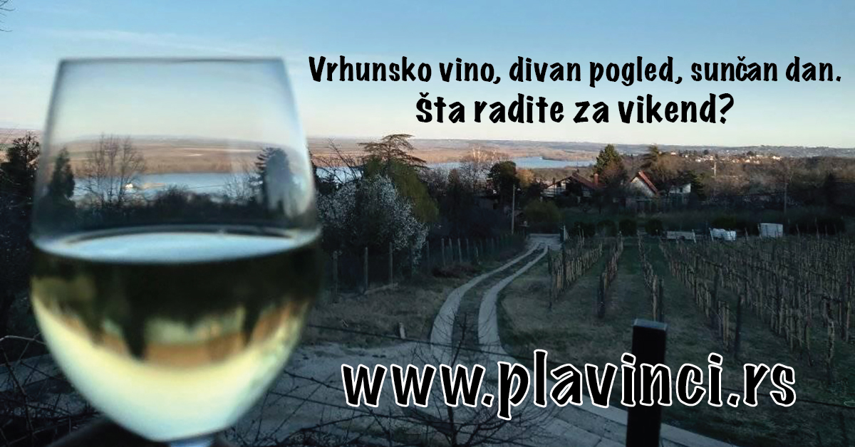 PlavinciWinery's tweet photo. Degustacija organskog vina + divan pogled na 30 min od centra Beograda. Link za rezervacije https://t.co/1vDzSqHJAq https://t.co/9nCXBiS5Vb