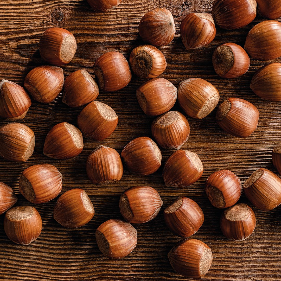 Loacker Arabia (@loacker_arabia) | Twitter