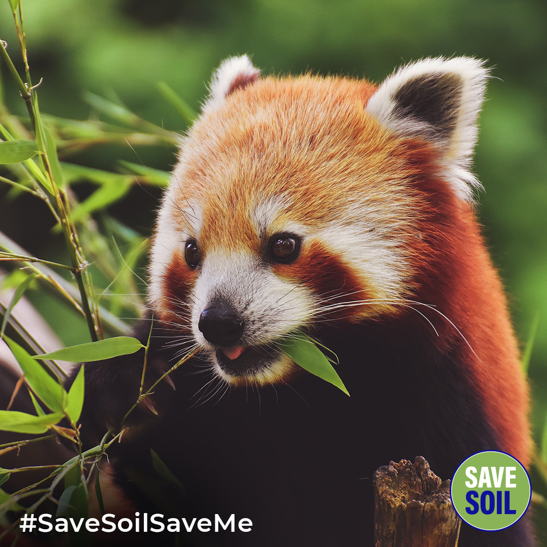 Conscious Planet #SaveSoil tweet media