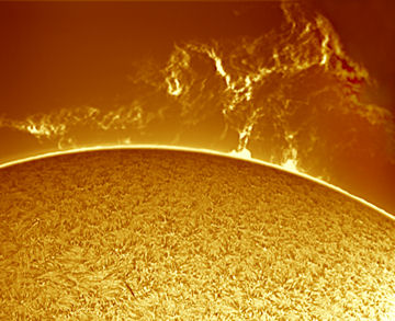 ryrytal's tweet photo. the only truth is:
the SUN does whatever tf it needs to do - #cancelproof
feelings are irrelevant https://t.co/lHdm8IoBPj