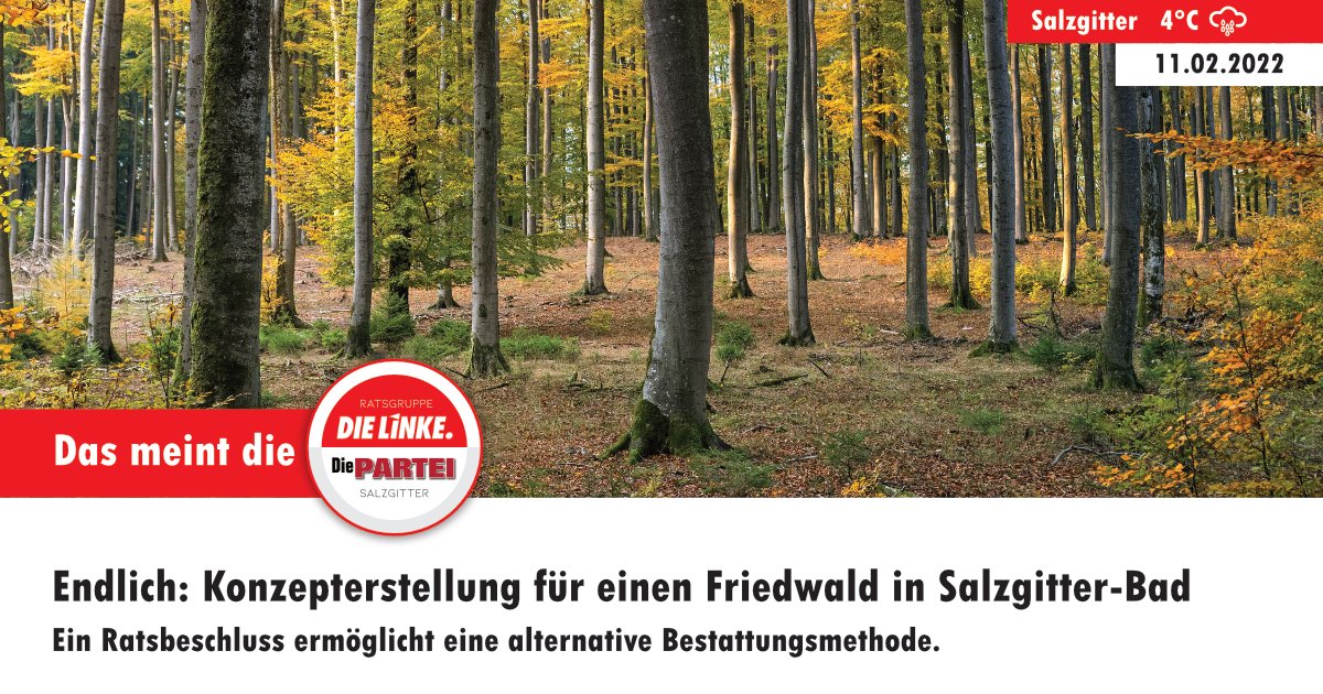 Der Rat hat in seiner letzten Ratssitzung am 02.02.2022 beschlossen, dass der Städtische Regiebetrieb (SRB) ein Konzept erstellt für einen Friedwald (Baumbestattung).