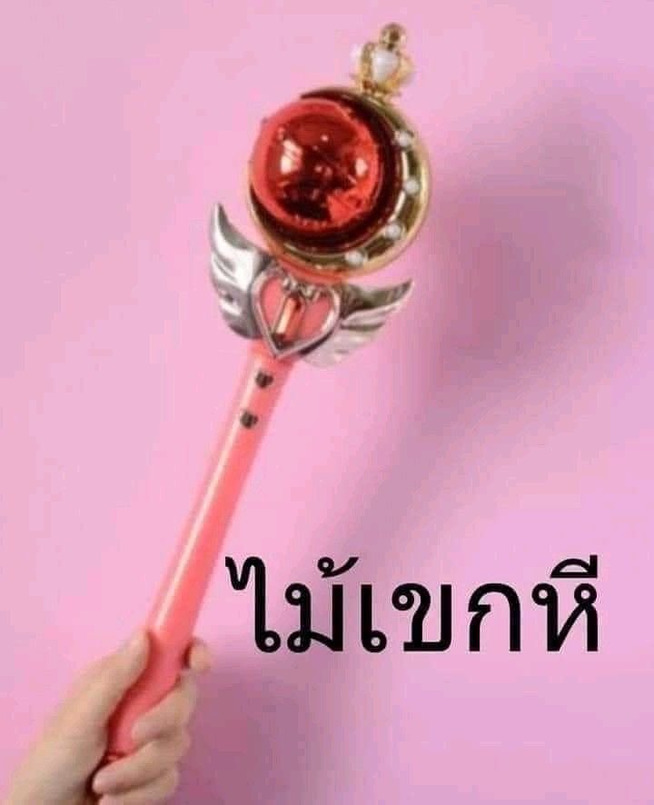นักเรียนไทย. tweet media