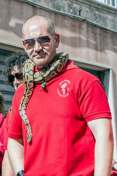 FerranteGonzaga's tweet photo. @imperialist_dog @byzantinepower @Gregoresate @Paideia_Forum @GKesarios ImHO Christianisation had to absorb local practices to break through, with some of them still alive after 2kYears North & South of the peninsula...
Cfr Snake parades, #giobia (bonfires) & #benandanti
Local habits hard to erase completely when ethnical originale are deeply rooted https://t.co/Di6p7EfSHP