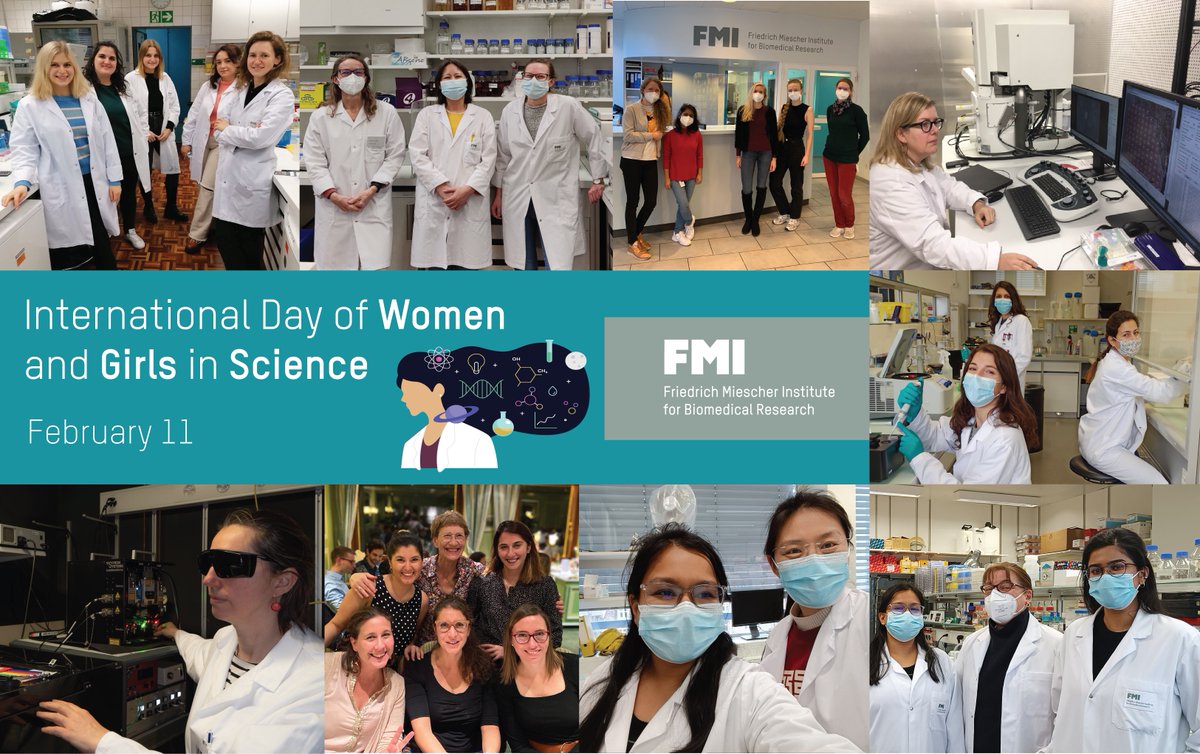 FMIscience's tweet photo. Happy #WomenInScience Day! We're proud of our women scientists, who make the FMI such an outstanding place! Today is a time to celebrate the vital contributions of #WomenInSTEM and recognize the systemic barriers that prevent full and equal access to science for women and girls👩🏽‍🔬 https://t.co/s1mDK34RPP