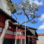 ツイートに含まれる画像