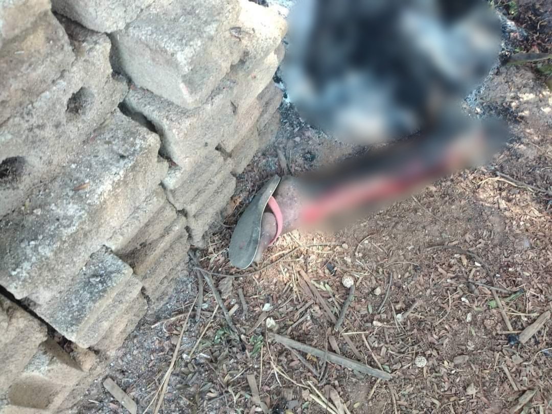 TheChindwin's tweet photo. Two civilians from #Paceo village at 3 miles #Sanpiah in #Loikaw Township were brutally killed and burned their bodies by #Myanmar #military #junta on 10 February 2022.
Photo - KNDF https://t.co/UYJEHvJOpu