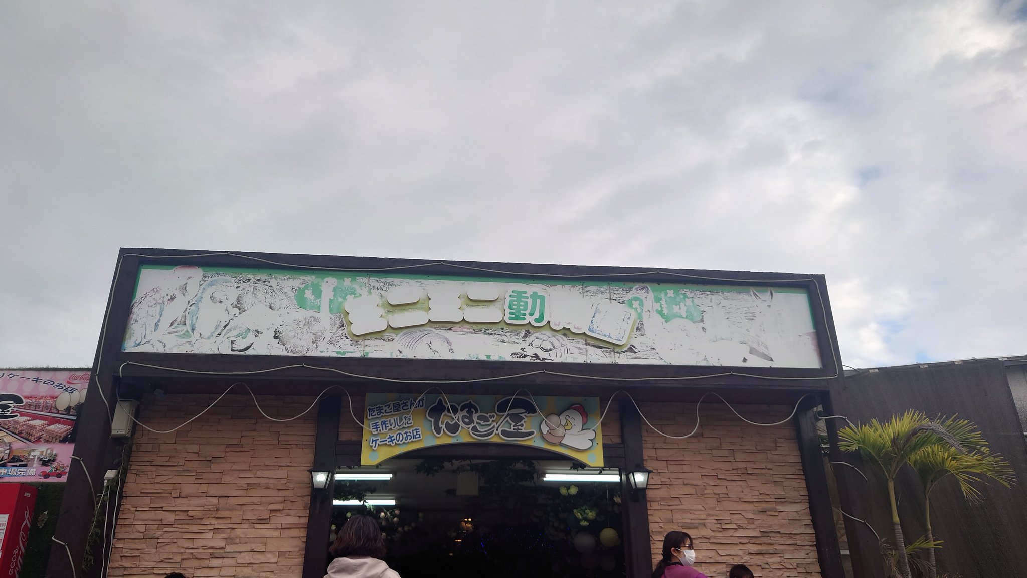 むらびと ミニミニ動物園は 人気のスィーツ店だった O 沖縄 イマソラ 曇 沖縄県 うるま市 赤道 ミニミニ動物園 ヤギ オススメ シュークリーム 沖縄移住 沖縄生活 沖縄旅行 休日 お出かけ 買い物 T Co Ermv3cifct