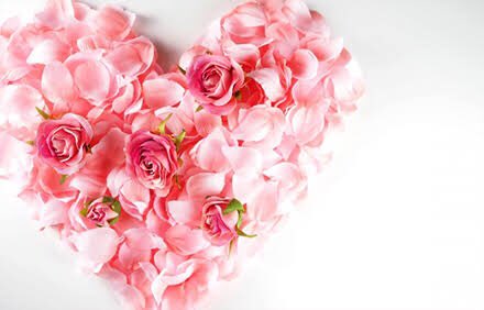 華 僚 花づくし京都岩倉店 Myoks T Twitter