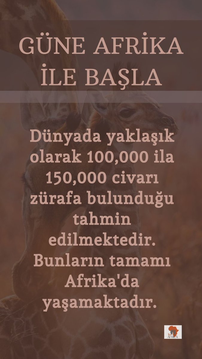 for AFRICA (@forafricaa) on Twitter photo 