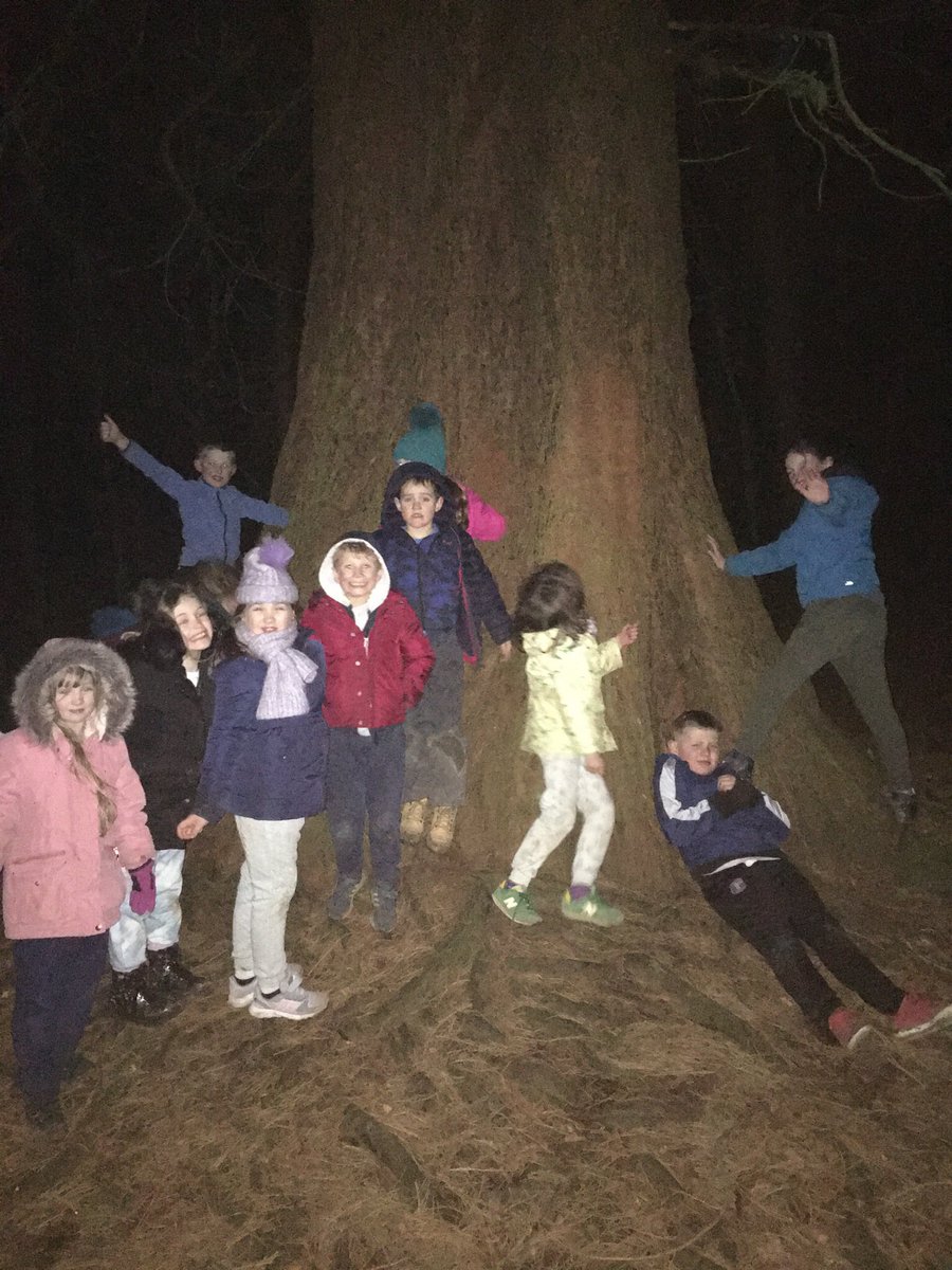 CastleCarrock's tweet photo. Last night- evening walk in the woods and a challenge to create cardboard clothing! #Class3DoDukehouse https://t.co/YoY5KWFw3Y