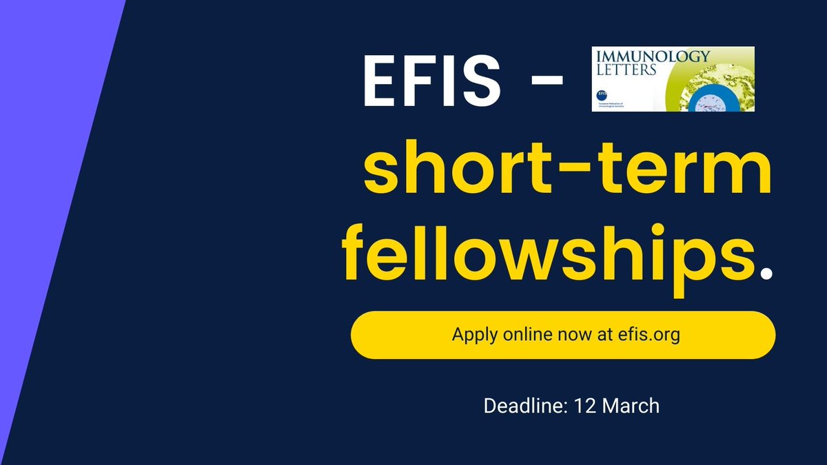 EFIS tweet media