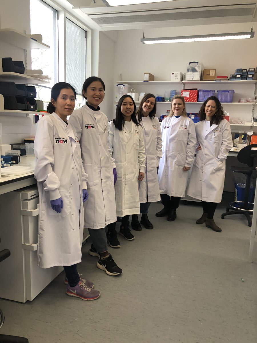 Today is #WomenScienceDay! Meet the women doing ground-breaking research in our lab <a href="/ICR_London/">The ICR</a> to defeat cancer.
From left to right, Dr May Zaw Thin, Dr. Rongjie Cheng, PhD student <a href="/Li1Tran/">Li Tran</a>, Dr <a href="/Jessnesta/">Jessica Nelson</a>, Dr <a href="/KarinrbHansson/">Karin Hansson</a> &amp; Dr Gabriela Koifman 🔬 👩🏻‍🔬