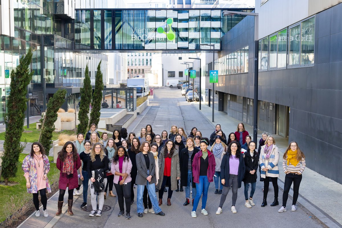 .<a href="/viennabiocenter/">Vienna BioCenter</a> PhD program students gathered to highlight <a href="/UN/">United Nations</a> International Day of Women and Girls in Science. We're proud 55% of our grad students are women! vbcphd.at
#WomenInSTEM #WomenInScience
<a href="/univienna/">Universität Wien</a> <a href="/MedUni_Wien/">MedUni Wien</a>  <a href="/IMBA_Vienna/">IMBA imbavienna.bsky.social</a> <a href="/gmivienna/">GMI Vienna gmivienna.bsky.social</a> <a href="/MaxPerutzLabs/">Max Perutz Labs Vienna</a>