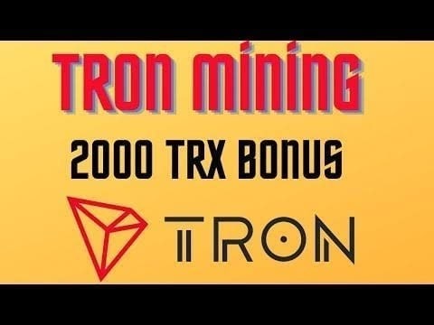 niki customer service