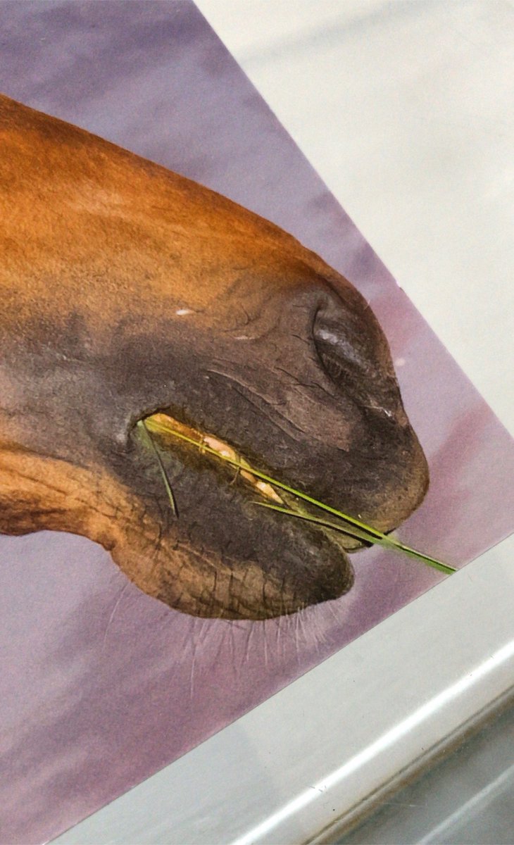 Documentary Photography is my passion / day job, not a thing on the side. How I earn a living. Working  with photographers. 

Organising new / old projects over on chloejuno.com 

Favourite curated with Danni Brown 
40 photographers  
Sponsored 
<a href="/SpectrumLab/">Spectrum Labs</a>
<a href="/FishingQG/">FQG</a>