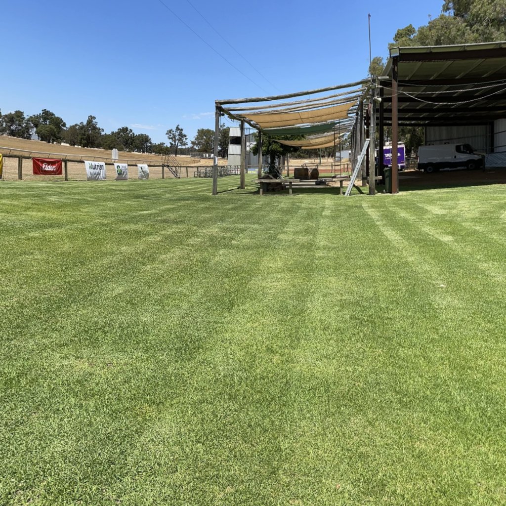 craigmorro47's tweet photo. Crowd area looking a million $$ for #Wandecla races tomorrow.
Follow the hash #wandecla for updates, results (hopefully replays) etc tomorrow. https://t.co/vhMUacjYnN
