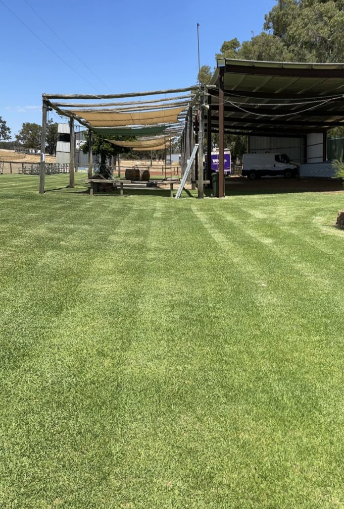craigmorro47's tweet photo. Crowd area looking a million $$ for #Wandecla races tomorrow.
Follow the hash #wandecla for updates, results (hopefully replays) etc tomorrow. https://t.co/vhMUacjYnN