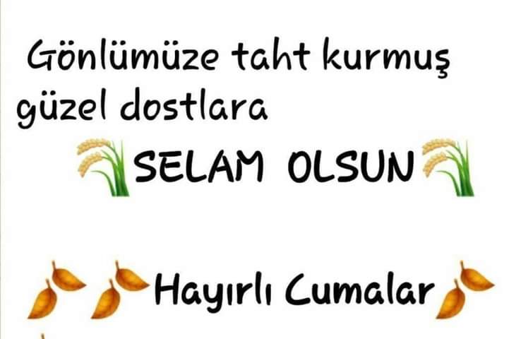 Mehmet BAŞAR (@mehmetbasar4306) on Twitter photo 