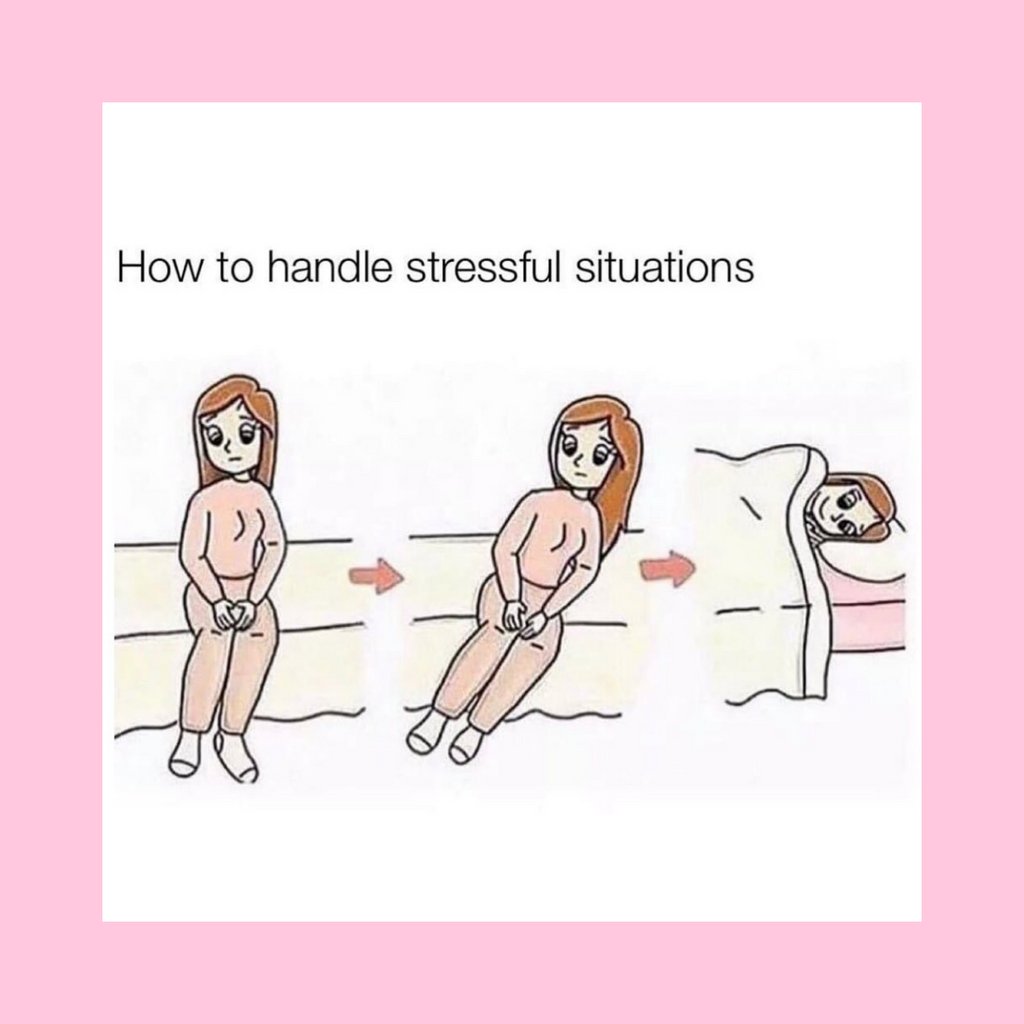 RoyalEssenceCo's tweet photo. Just 🛌 😴 ⁠
⁠
credit: @sarcasm_only https://t.co/xf53J8TEvr