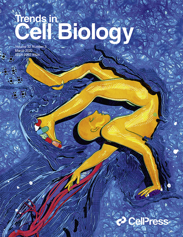 Vicky Sanz-Moreno (@vickysanzmoreno) on Twitter photo We made it to the March 2022 cover <a href="/TrendsCellBio/">Trends Cell Biology</a> <a href="/QMBCI/">Barts Cancer Institute (Queen Mary)</a> <a href="/Barts_Charity/">Barts Charity</a> <a href="/CR_UK/">Cancer Research UK</a>
Amoeboid cancer cells ROCK!🤩🤩
doi.org/10.1016/j.tcb.…
Beautiful cover imagined by <a href="/VittoriaGrazia8/">Vittoria Graziani</a> with inspiration from “The Acrobat” by Pablo Picasso, designed by super talented <a href="/HRmaiques/">HR Maiques | Associate Lead Character Artist</a> We made it to the March 2022 cover <a href="/TrendsCellBio/">Trends Cell Biology</a> <a href="/QMBCI/">Barts Cancer Institute (Queen Mary)</a> <a href="/Barts_Charity/">Barts Charity</a> <a href="/CR_UK/">Cancer Research UK</a>
Amoeboid cancer cells ROCK!🤩🤩
doi.org/10.1016/j.tcb.…
Beautiful cover imagined by <a href="/VittoriaGrazia8/">Vittoria Graziani</a> with inspiration from “The Acrobat” by Pablo Picasso, designed by super talented <a href="/HRmaiques/">HR Maiques | Associate Lead Character Artist</a>