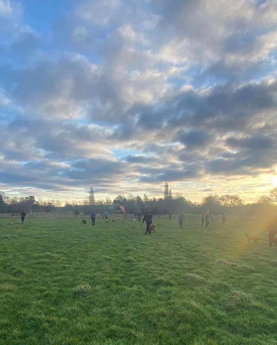 Beginners run tomorrow at our home ground for absolute newbies followed by a club run after. Looks like another great turnout and as ever if any of our team can lend a helping hand please join us tomorrow morning 🤝 #teamtailrunners #assemble