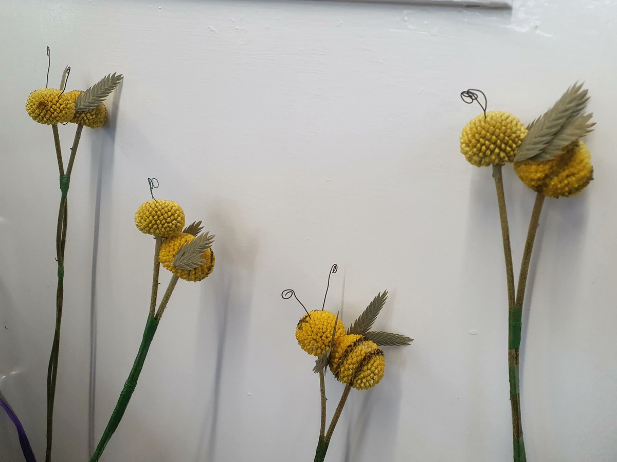 We were busy bees this week, and Pete took time to show our Level 2 students how to create these fun little busy bees from craespedia! Bee-autiful! #floristryfun #level2floristry #bees