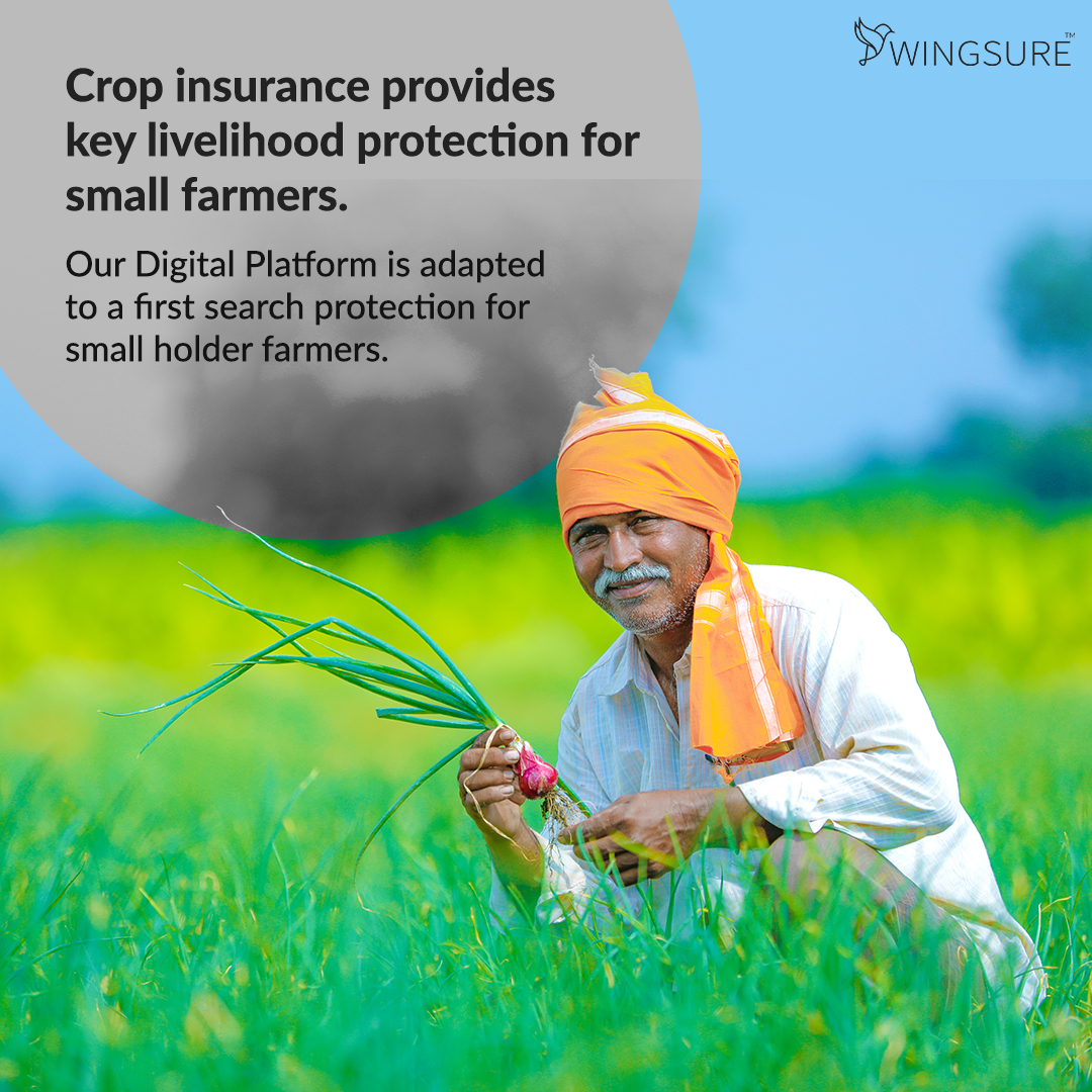 wingsure's tweet photo. At #Wingsure, we leverage #technology to provide essential protection to #smallfarmers. We offer a 360° #RiskManagement tool that provides vital support to farmers. Know more about our revolutionary approach to farmer wellbeing here: https://t.co/ACxpSvpy4o

#CropInsurance #AI https://t.co/gfwHb60Zxr