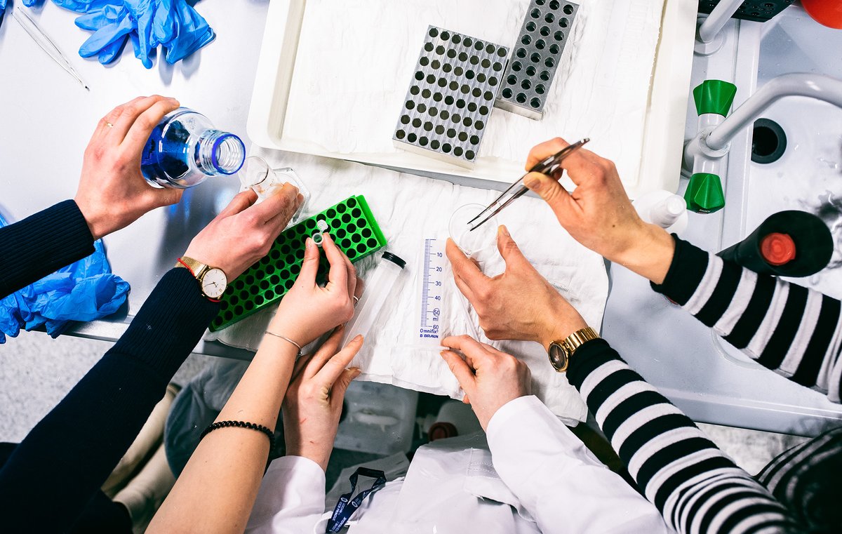 IOCBPrague's tweet image. Today is #WomenScienceDay, a perfect opportunity to encourage, recognize, and celebrate women in research!
#InternationalDayofWomenandGirlsinScience #WomenInScience #zenyvevede