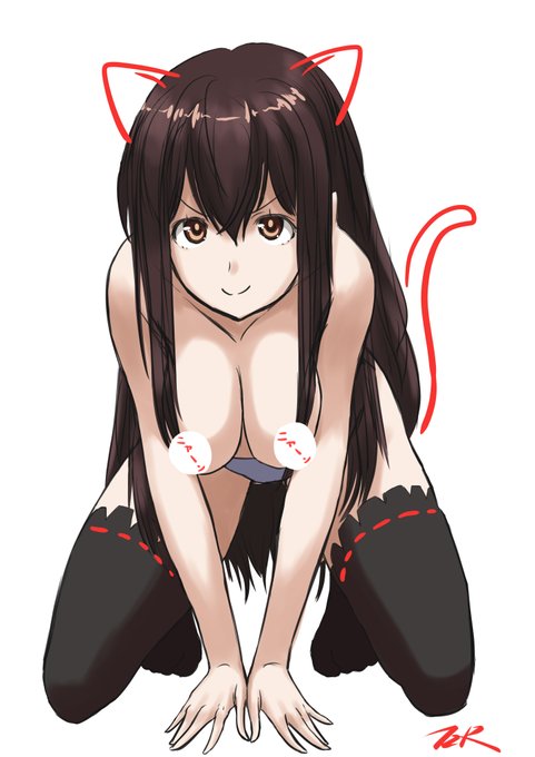 ニャーン赤城さん 