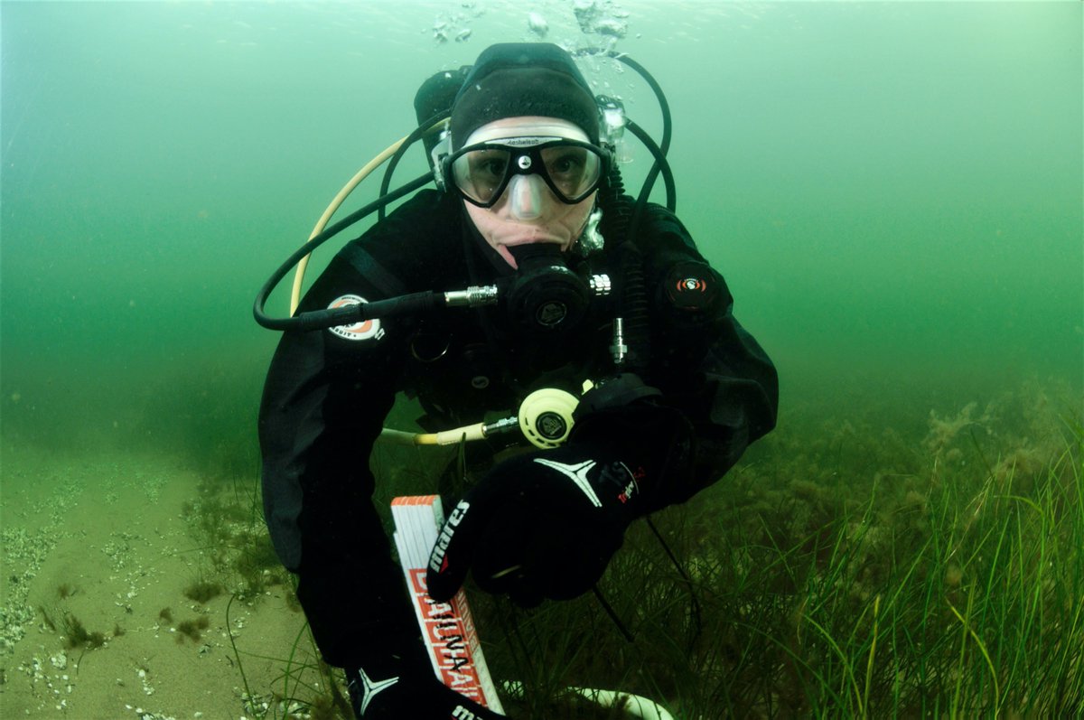 I’m a researcher @coastclim @tvarminne @helsinkiuni. I study how diversity of #seagrass and #macrophytes influence #ecosystemfunction and #carboncycling. #WomenInScience 
#WomenInScienceInHelsinki 
#WeAreHelsinkiUni 
#minätutkin