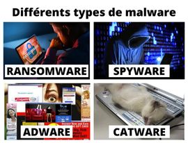 MediHack2022's tweet photo. Connaissez-vous ces terribles malwares ? 😼
#catware #CyberSecurity https://t.co/9FXopptEUf