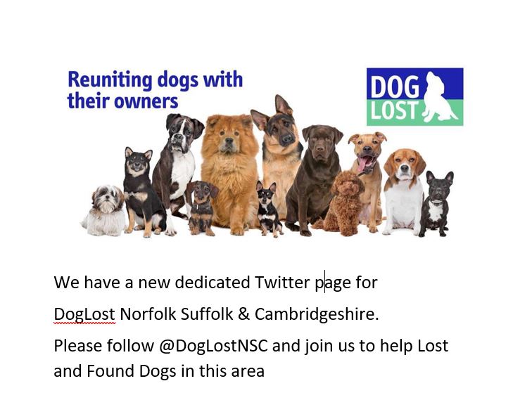 Please follow DOGLOST NSC group!  <a href="/DoglostNSC/">DogLost Norfolk Suffolk & Cambridgeshire</a>
Help for #DOGS  
#NORFOLK #SUFFOLK &amp; #CAMBRIDGESHIRE  x.com/DoglostNSC
Thank you all !   Sarah x