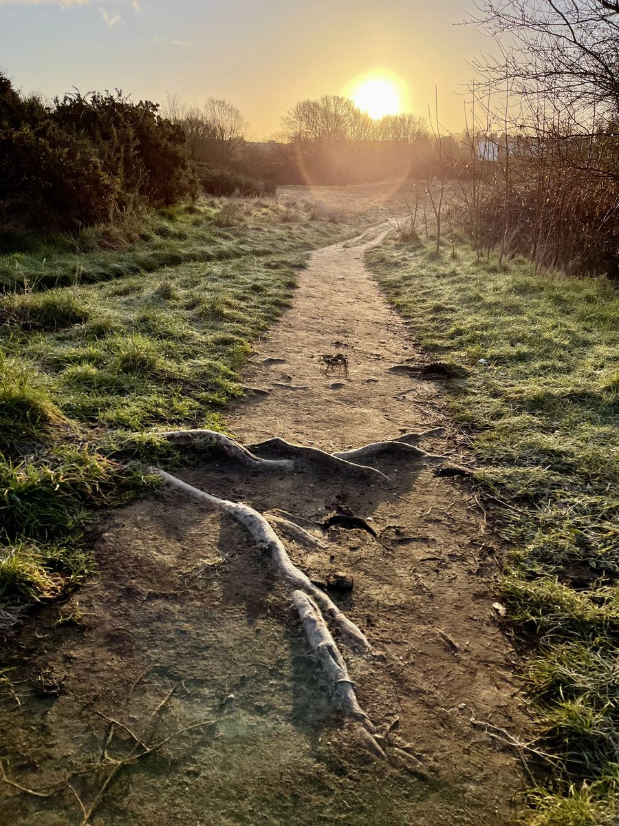 greenroofsuk's tweet photo. After #sunrise #greewichpark and #vanburghpits #greenwich #blackheath https://t.co/eCMHngpWSF