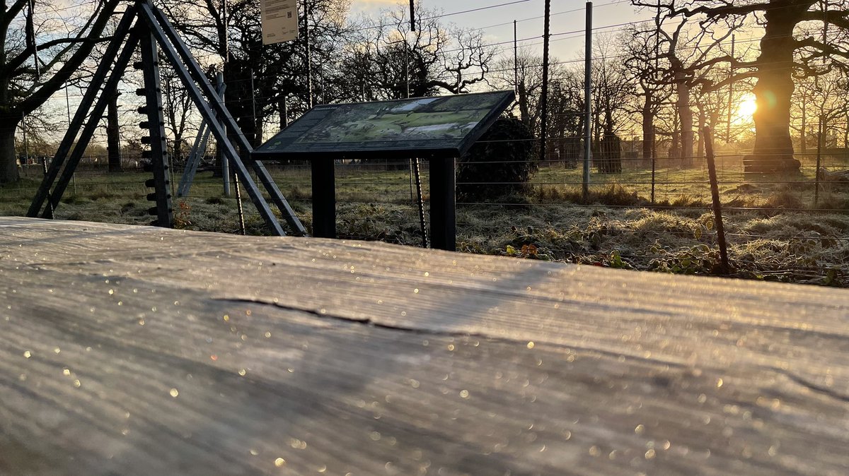 greenroofsuk's tweet photo. After #sunrise #greewichpark and #vanburghpits #greenwich #blackheath https://t.co/eCMHngpWSF