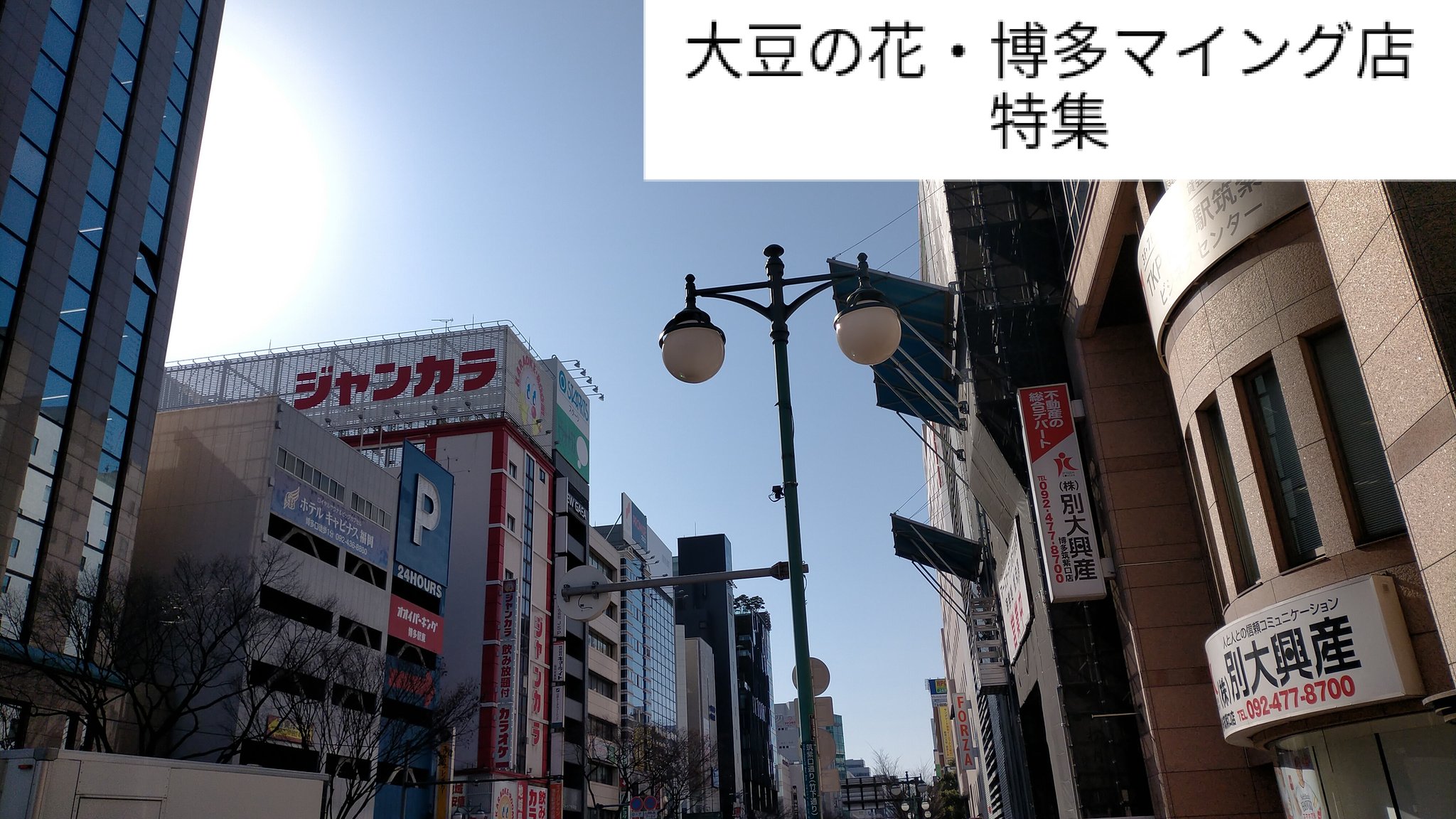 大豆の花 宣伝部 Iizuka Daizu Twitter