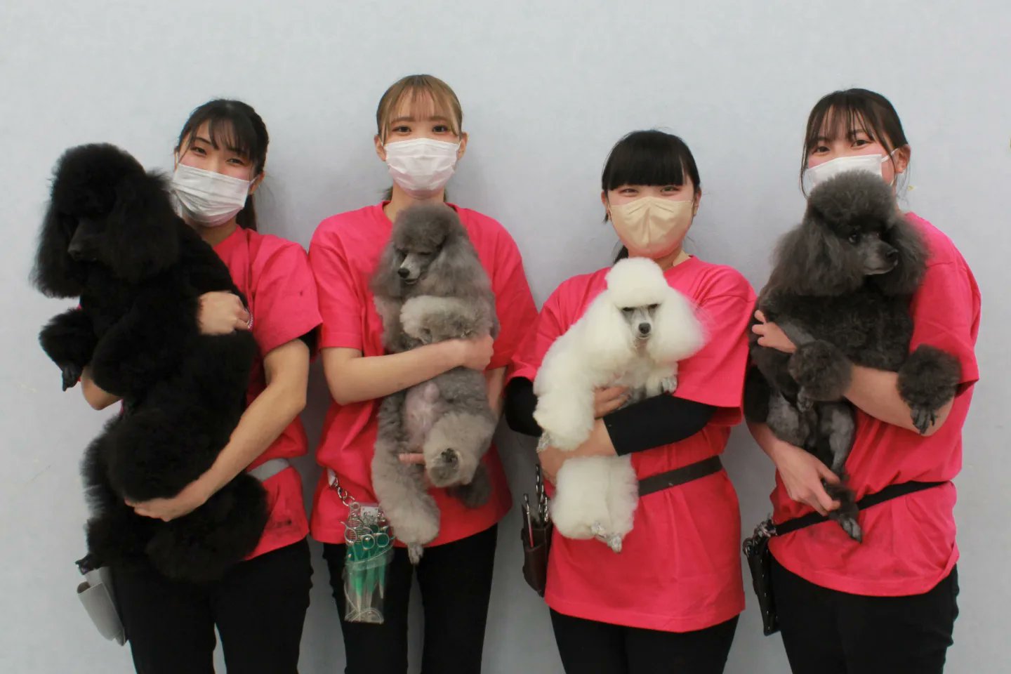 学校法人 佐山学園 アジア動物グループ Asia Animal Academy a Asia Animal Twitter