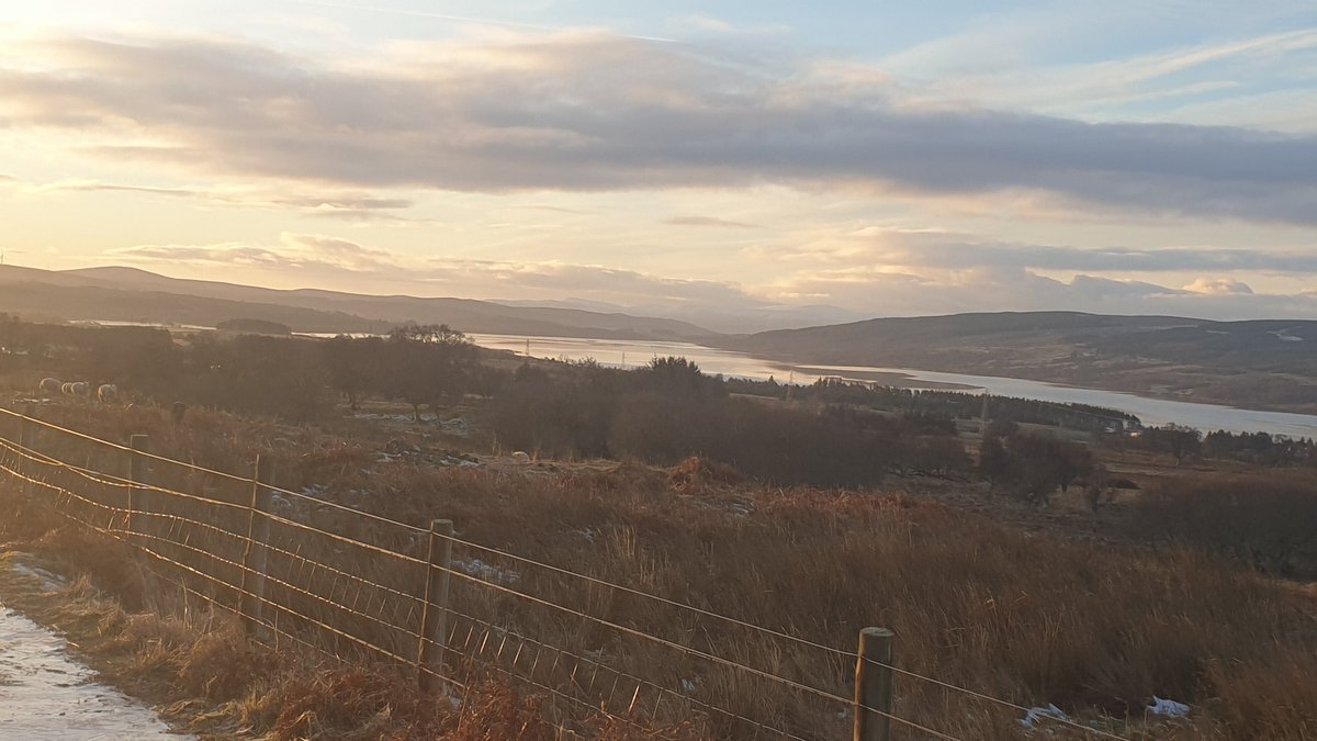 PhilW79338631's tweet photo. Beautiful crisp morning #shinness #highlands #sutherland #crofting https://t.co/g2a4MNLdT1