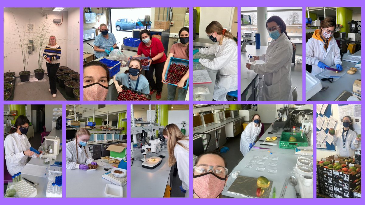 CranPostharvest's tweet photo. Celebrating the International Day of #Women and #Girls in #Science 👩🏼‍🔬👩🏻‍🔬👩🏾‍🔬👩‍🔬👩🏿‍🔬👩🏽‍🔬 What an amazing team of #WomenInSTEM we have at @PSL_Cranfield 👏

@CranfieldUni @CranfieldAgrifo

#WomenInScience #research #cropscience #11F2022 https://t.co/sjFGoSWOCN
