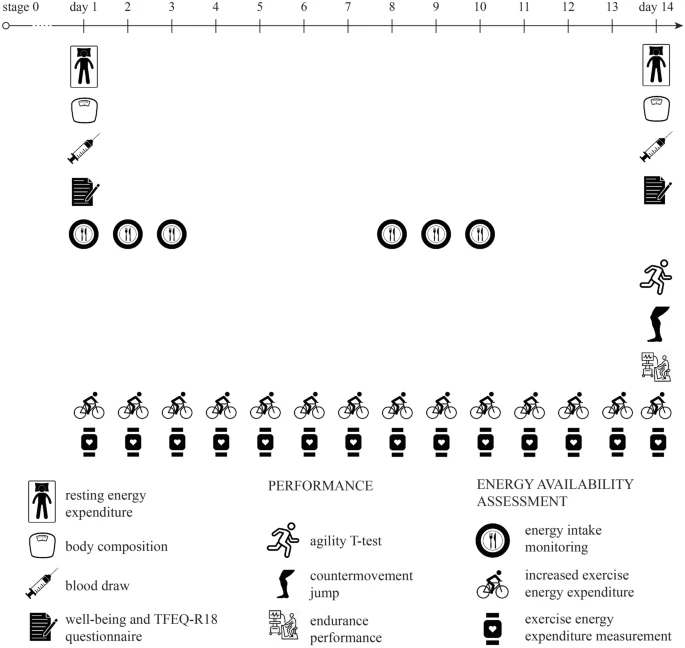 EJAP_official's tweet photo. Low energy availability for 14 days impairs countermovement jump performance, well-being and reduces hemoglobin values in trained males. By Dr. Iva Jurov et al from the Faculty of Sport in Ljubljana. #openaccess #energydeficiency https://t.co/zfRz5mDVFo https://t.co/UYRWXZYcLt