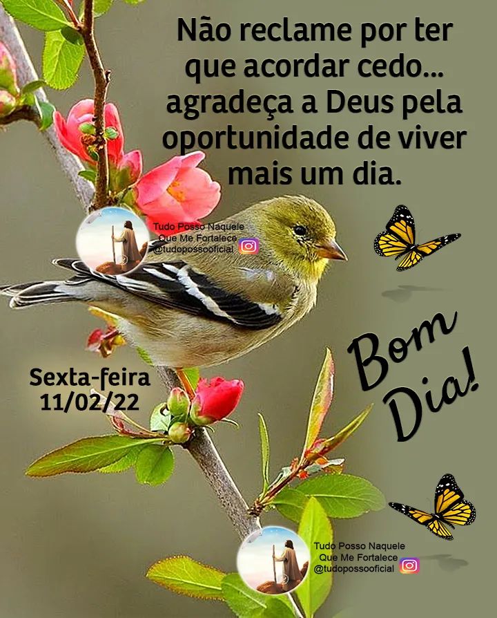 Fernandes:ROBO do Bolsonaro até 2027🇧🇷.Solteiro. on Twitter: Fernandes:ROBO do Bolsonaro até 2027🇧🇷.Solteiro. on Twitter: