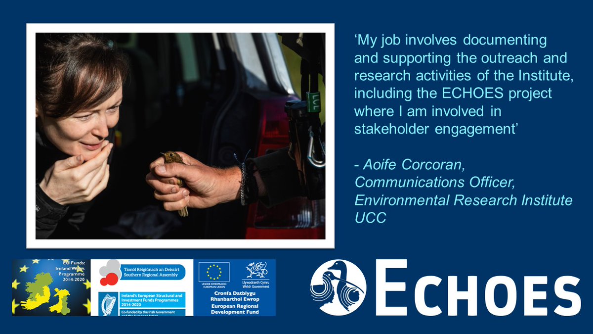 ECHOESproj's tweet photo. 💪In the spirit of promoting equity, diversity &amp; inclusion in STEAM careers, we are celebrating the International Day of Women and Girls in Science today by showcasing our talented ♀️team at work! 👏#WomenInScience #EUIrelandWales #WomeninScienceDay https://t.co/AEyzFgG5Sb