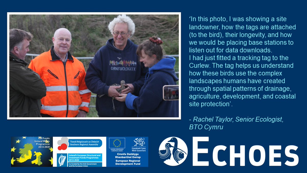 ECHOESproj's tweet photo. 💪In the spirit of promoting equity, diversity &amp; inclusion in STEAM careers, we are celebrating the International Day of Women and Girls in Science today by showcasing our talented ♀️team at work! 👏#WomenInScience #EUIrelandWales #WomeninScienceDay https://t.co/AEyzFgG5Sb
