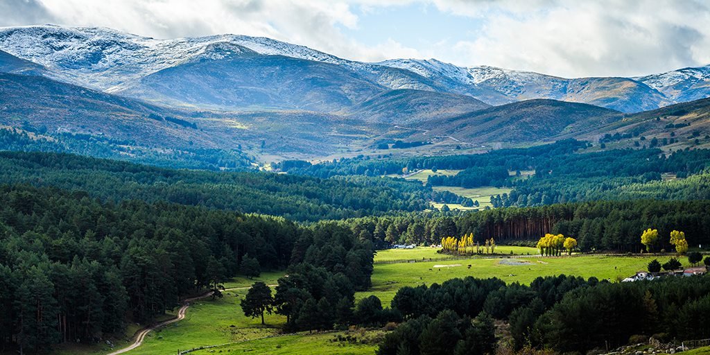 spain's tweet photo. The #SierraDeGredos offers a fantastic mix of lakes, gorges and cliffs created by erosion during past ice ages.🌄 A must visit in #Ávila.😍 #Thread

👉 https://t.co/kbdvvYrpYh

#YouDeserveSpain #VisitSpain #SpainNature @CyLesVida https://t.co/9VZUrV0069