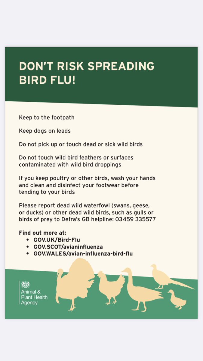 Very important message #monkseaton #tynemouth #whitleybay #monkseaton