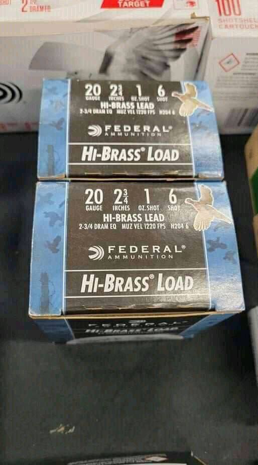 Bradley Davidson (@bigboybradley17) on Twitter photo 