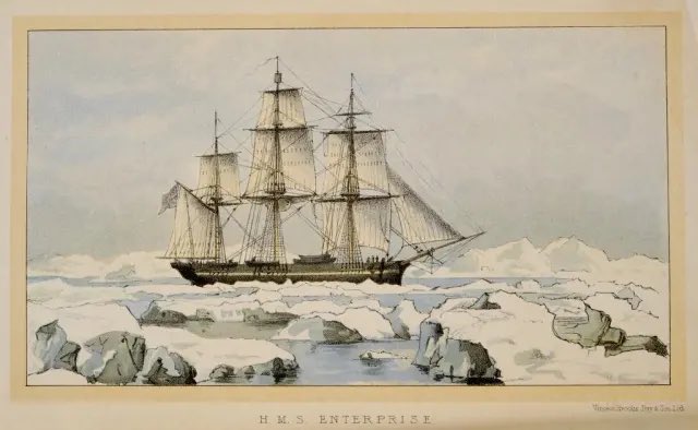 An egg of the Razorbill with an amazing story. It was collected during the first voyage of HMS Enterprise to the Arctic (1848-1849) at the Whalefish Islands, Greenland. It was donated to the British Museum by Dr John Robertson - surgeon to the expedition - in February 1850