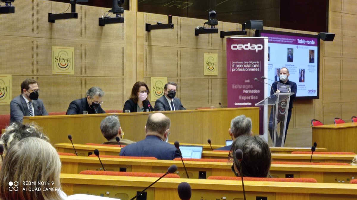 fcuchet's tweet photo. @PaulineVeron il est important de ne pas confondre démocratie directe et démocratie participative ! Cette dernière permet de régénérer la démocratie représentative @cedap_assopro @DemOuverte https://t.co/n5I0kuvbUM