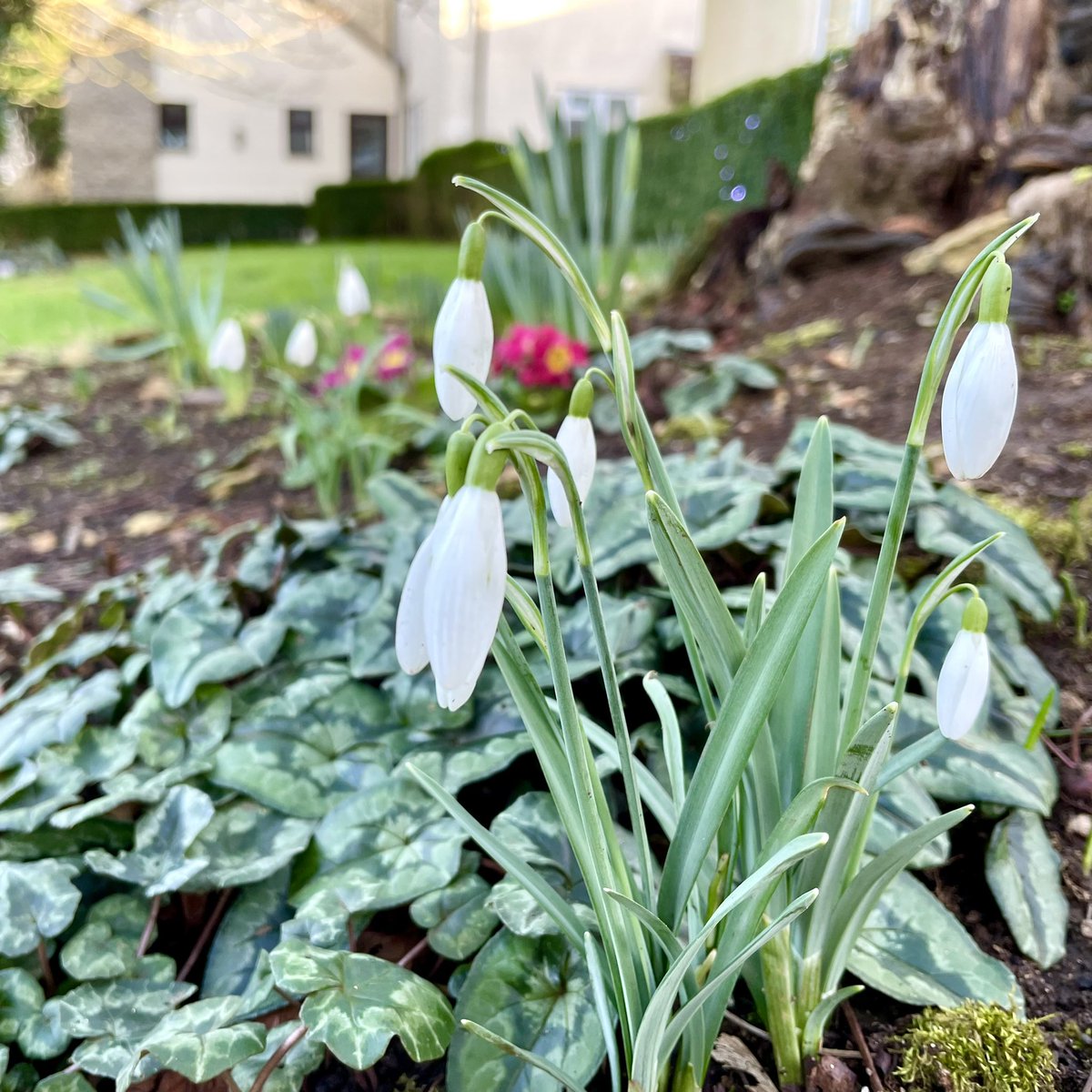 The Compass Inn tweet media