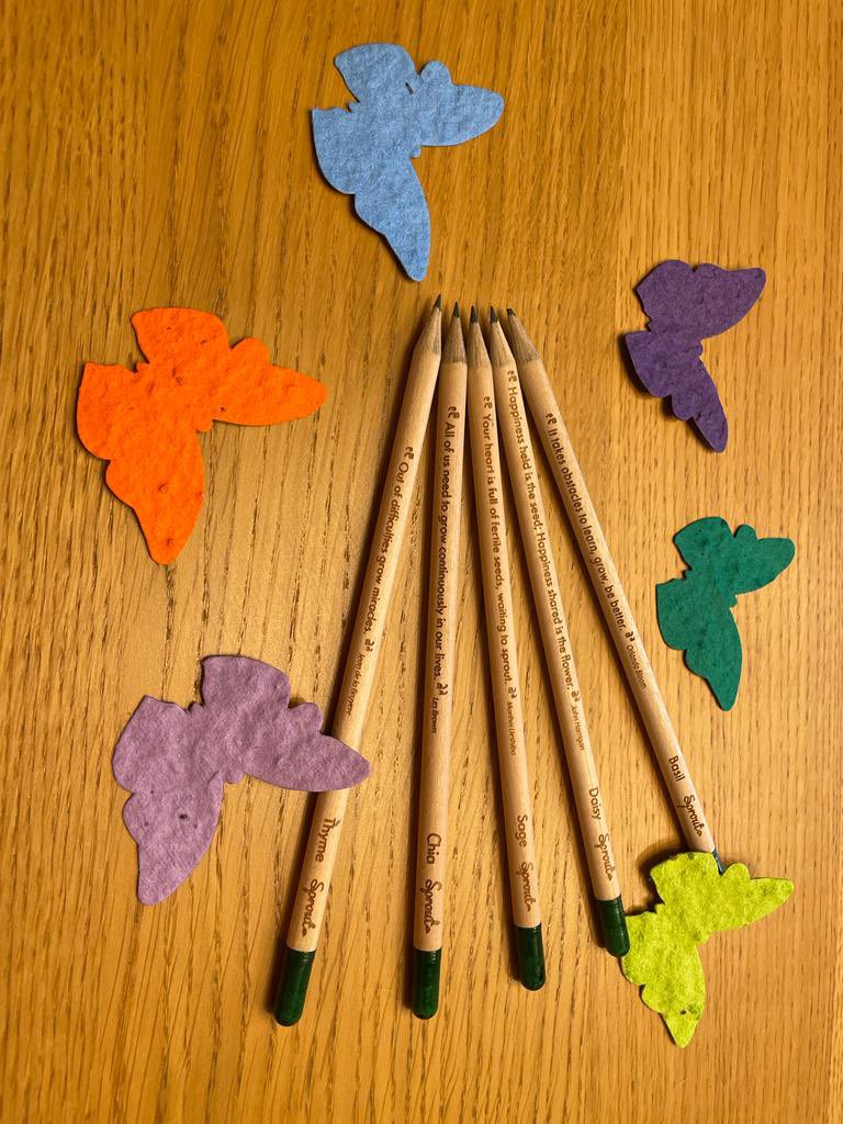 Pendock CE Primary School tweet media