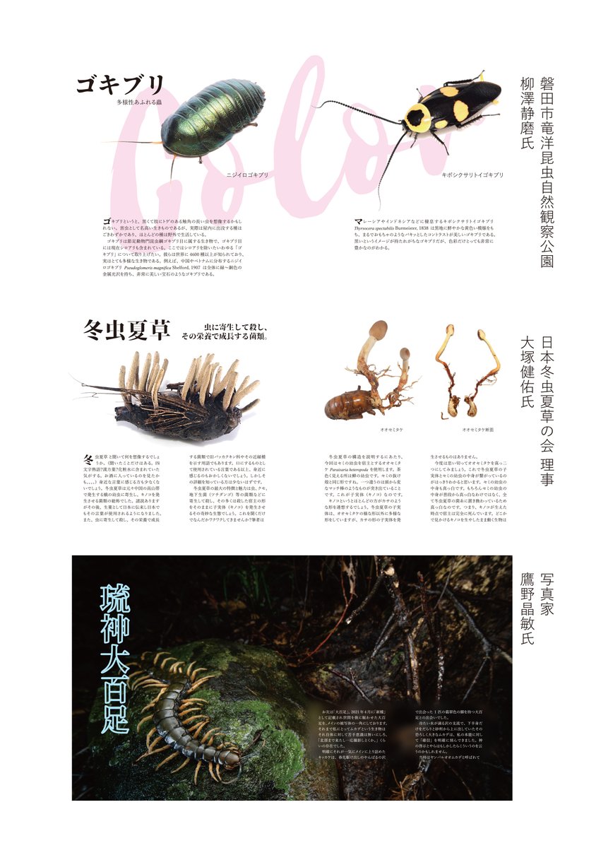 丸まる A To De Ne Twitter 丸まる A To De Ne Twitter